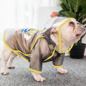 You Can Do It Clear Raincoat Jacket