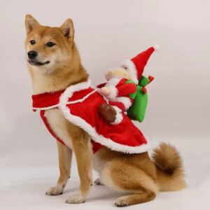 French Bulldog Christmas Santa Outfit
