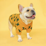 Cactus French Bulldog Sweater