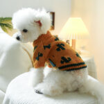 Cactus French Bulldog Sweater