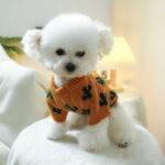 Cactus French Bulldog Sweater