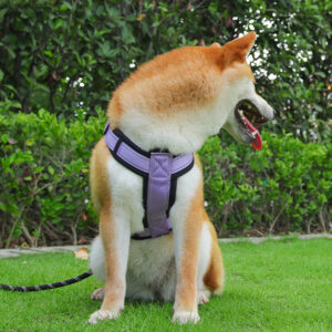 Reflective Dog Traction Strap Harness