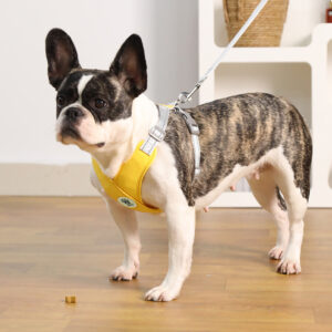X_Shape_Vest-style_Vibrant_Plain_Harness_New_BATPIG_Pet_Supply-1