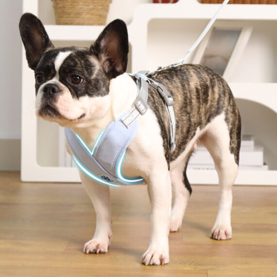 X Shape Vest-style Vibrant Plain Harness - Leash Included