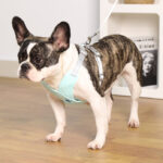 X Shape Vest-style Vibrant Plain Harness - Leash Included