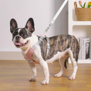 X Shape Vest-style Vibrant Plain Harness - Leash Included