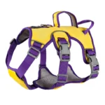Anti-Breakaway Dog Traction Rope Harness