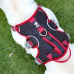 Anti-Breakaway Dog Traction Rope Harness