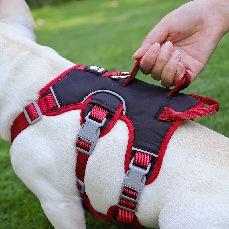 Anti-Breakaway Dog Traction Rope Harness