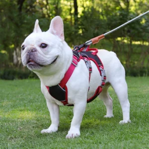 anti-breakaway-dog-traction-rope-harness-by-batpig-pet-supply-7