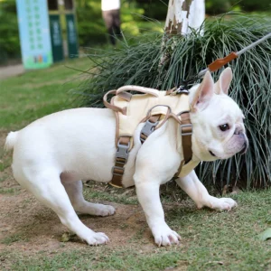 Anti-Breakaway Dog Traction Rope Harness