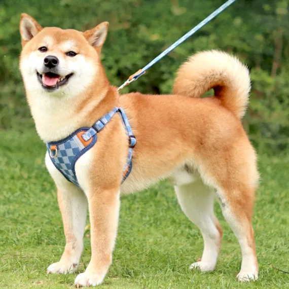 Denim Fashion Comfort Breathable Harness