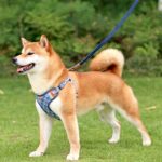 Denim Fashion Comfort Breathable Harness