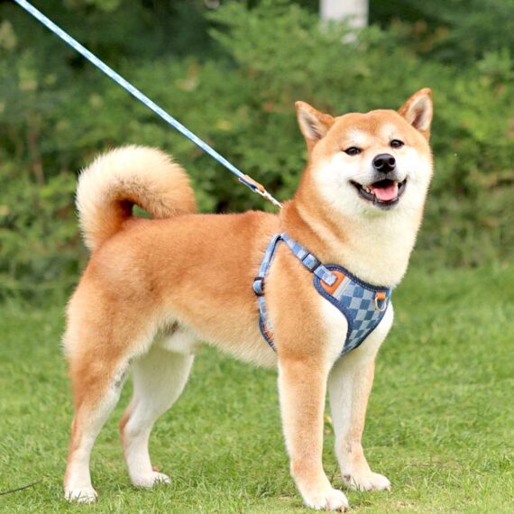 Denim Fashion Comfort Breathable Harness