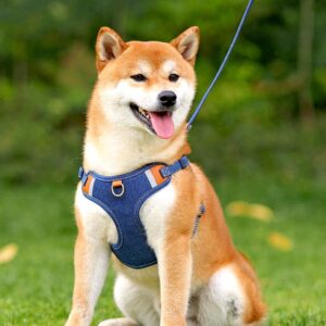 Denim Fashion Comfort Breathable Harness