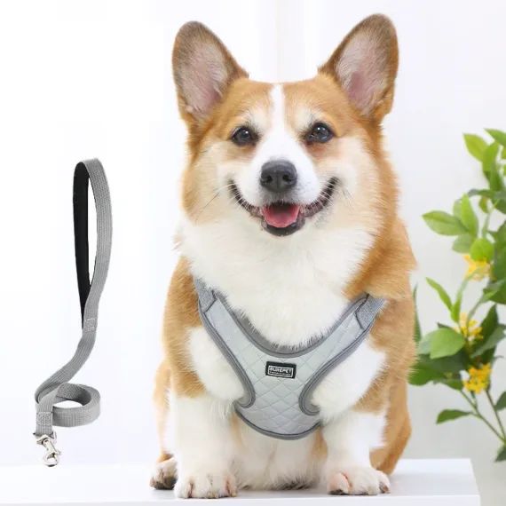 Dog Vest Style Leather Harness Waterproof and Anti-fouling