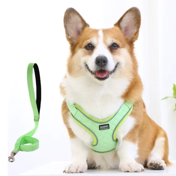 Dog Vest Style Leather Harness Waterproof and Anti-fouling