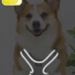 Dog Vest Style Leather Harness Waterproof and Anti-fouling