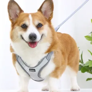 dog-vest-style-leather-harness-waterproof-and-anti-fouling-by-batpig-pet-supply-20