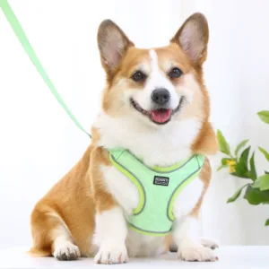 Dog Vest Style Leather Harness Waterproof and Anti-fouling