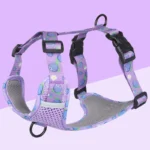 Fruitful Comfort Harness β Strawberry, Lemon, Apple and Blueberry