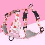 Fruitful Comfort Harness β Strawberry, Lemon, Apple and Blueberry