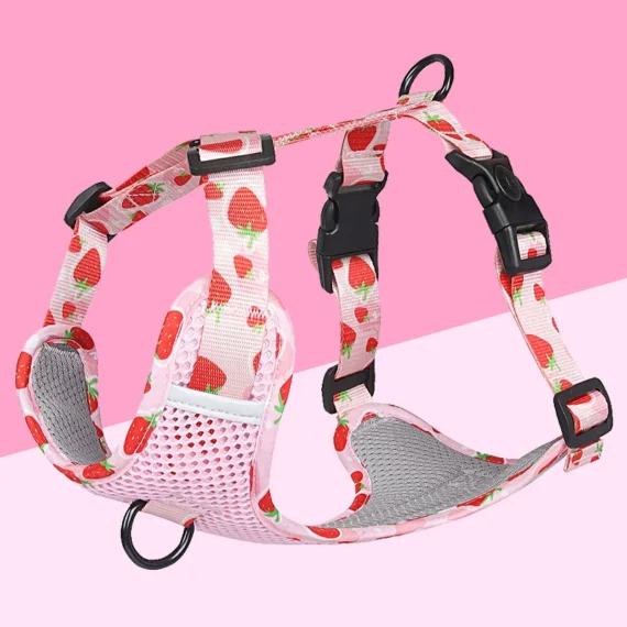 Fruitful Comfort Harness β Strawberry, Lemon, Apple and Blueberry