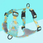 Fruitful Comfort Harness β Strawberry, Lemon, Apple and Blueberry