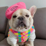Polar Fleece Beret For Frenchie
