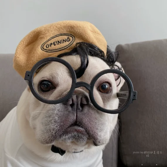 Polar Fleece Beret For Frenchie