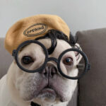 Polar Fleece Beret For Frenchie