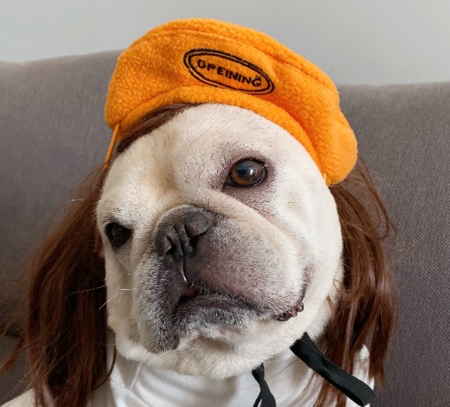 Polar Fleece Beret For Frenchie