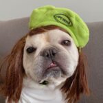 Polar Fleece Beret For Frenchie