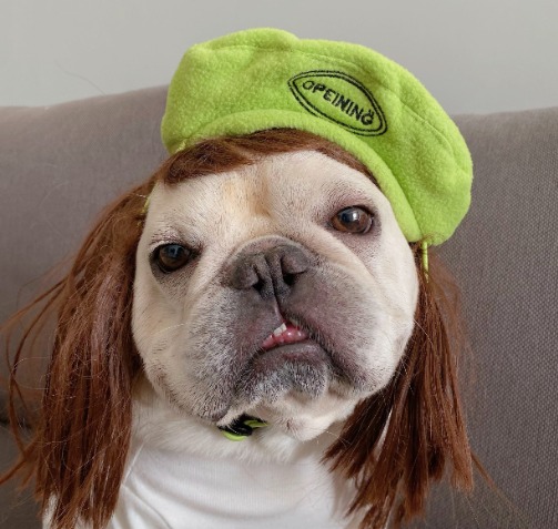 Polar Fleece Beret For Frenchie