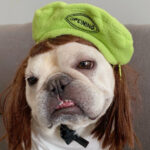 Polar Fleece Beret For Frenchie