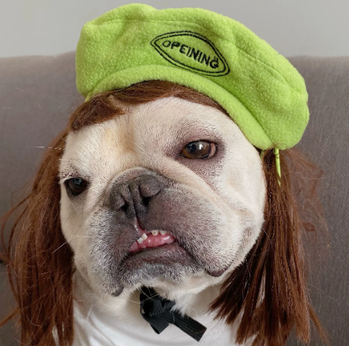 Polar Fleece Beret For Frenchie