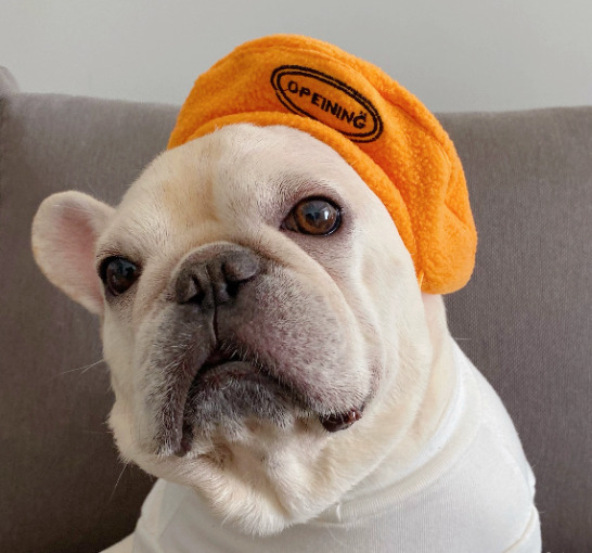 Polar Fleece Beret For Frenchie