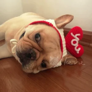 Valentine's Day Knitted Handmade Love Pet Hat