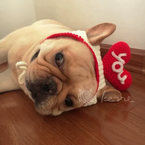 Valentine's Day Knitted Handmade Love Pet Hat