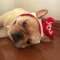 Valentine's Day Knitted Handmade Love Pet Hat