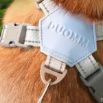 X Shape Vest-style Vibrant Plain Harness - Leash Included