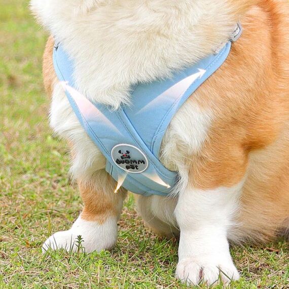 X Shape Vest-style Vibrant Plain Harness - Leash Included