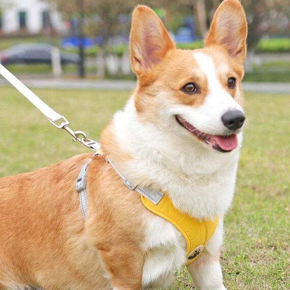 X Shape Vest-style Vibrant Plain Harness - Leash Included