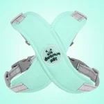 X Shape Vest-style Vibrant Plain Harness - Leash Included
