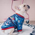 Cosmic Sparkle Bomber Jacket for French Bulldogs