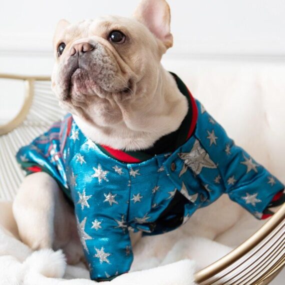Cosmic Sparkle Bomber Jacket for French Bulldogs
