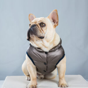 Metallic Cozy Frenchie Jacket