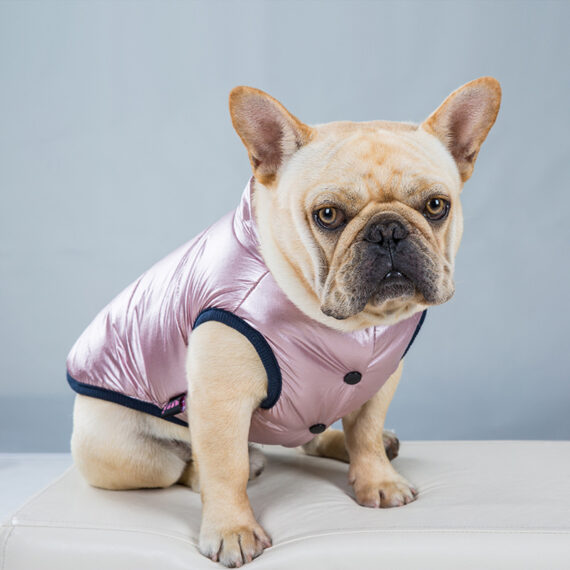 Metallic Cozy Frenchie Jacket