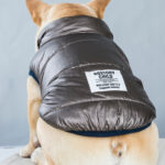 Metallic Cozy Frenchie Jacket