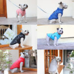 French Bulldog Padded Vest